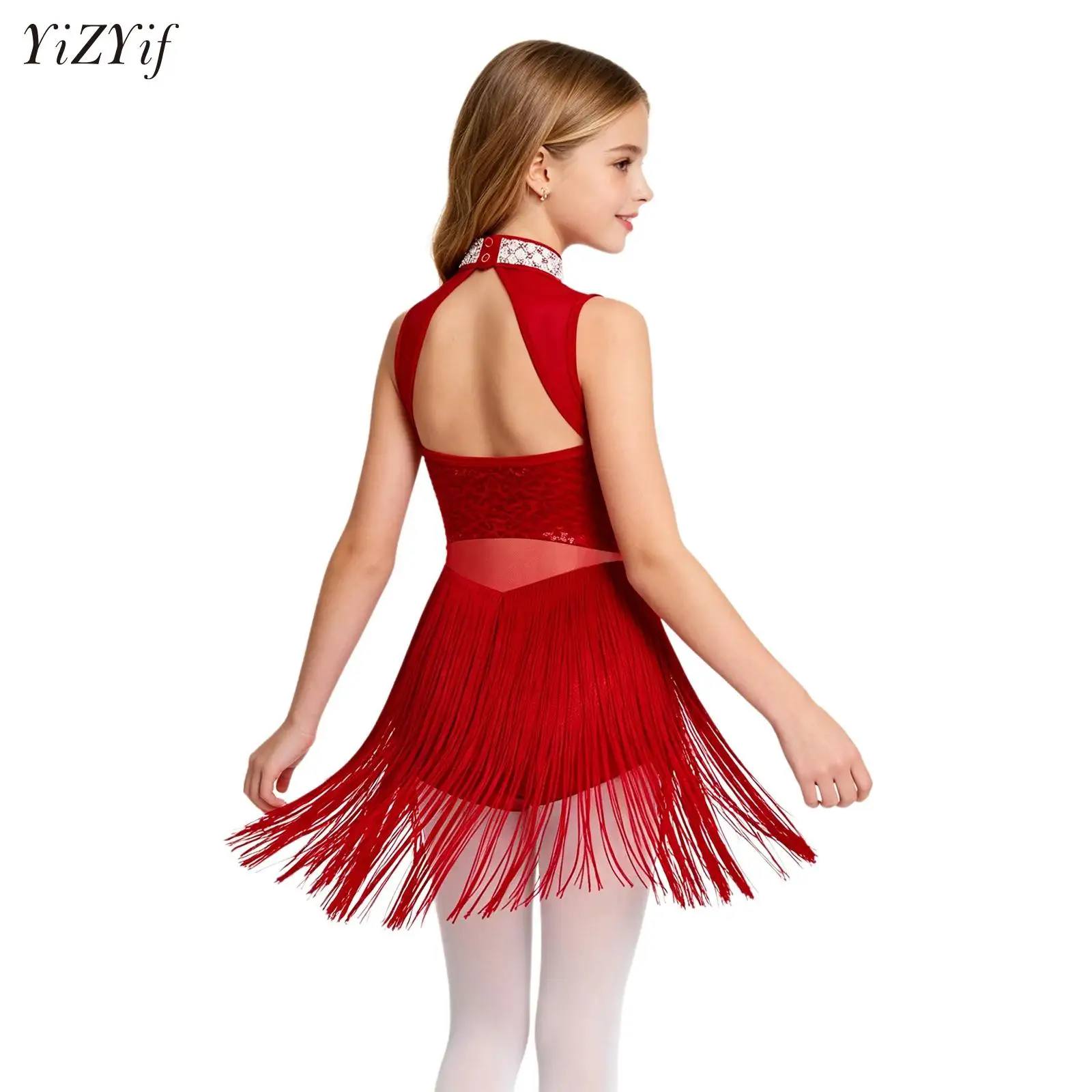 

Kids Girls Latin Dance Fringe Dress Sleeveless Sequins Ballet Dance Gymnastics Leotard Dress Tango Rumba Ballroom Dance Wear