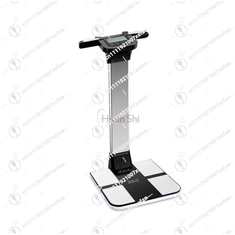 Whole Body Fat Analyzer Machine