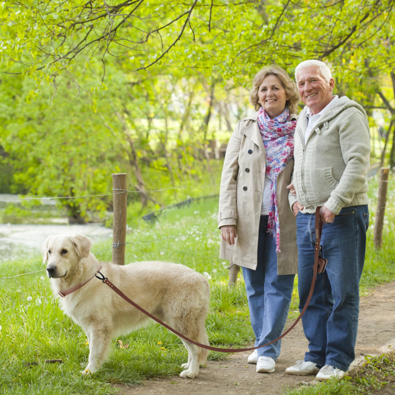 Farbblockierender Nieten-Hundeleinen-Griff und luxuriöse Schokoladenbraune Universal-Hundeleine für große, mittlere und kleine Hunde – Detail 4