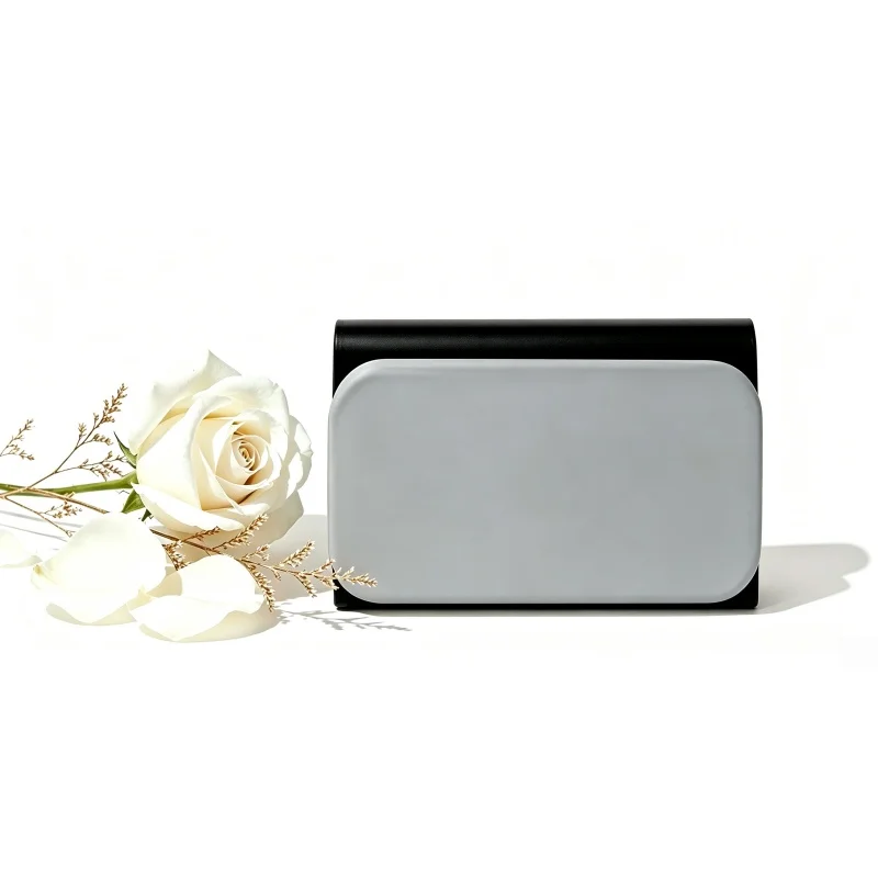 Car Air Freshener Sun Visor Clip Diatomite Stone Aroma Solid Perfume Luxury Auto Fragrance Odor Long Lasting Ocean Serene Floral