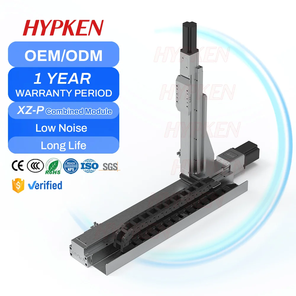 High Precision  Gantry Linear Module Ball Screw Drive Stainless Steel Bearing Engine 1000x1000x500mm Gantry Table For