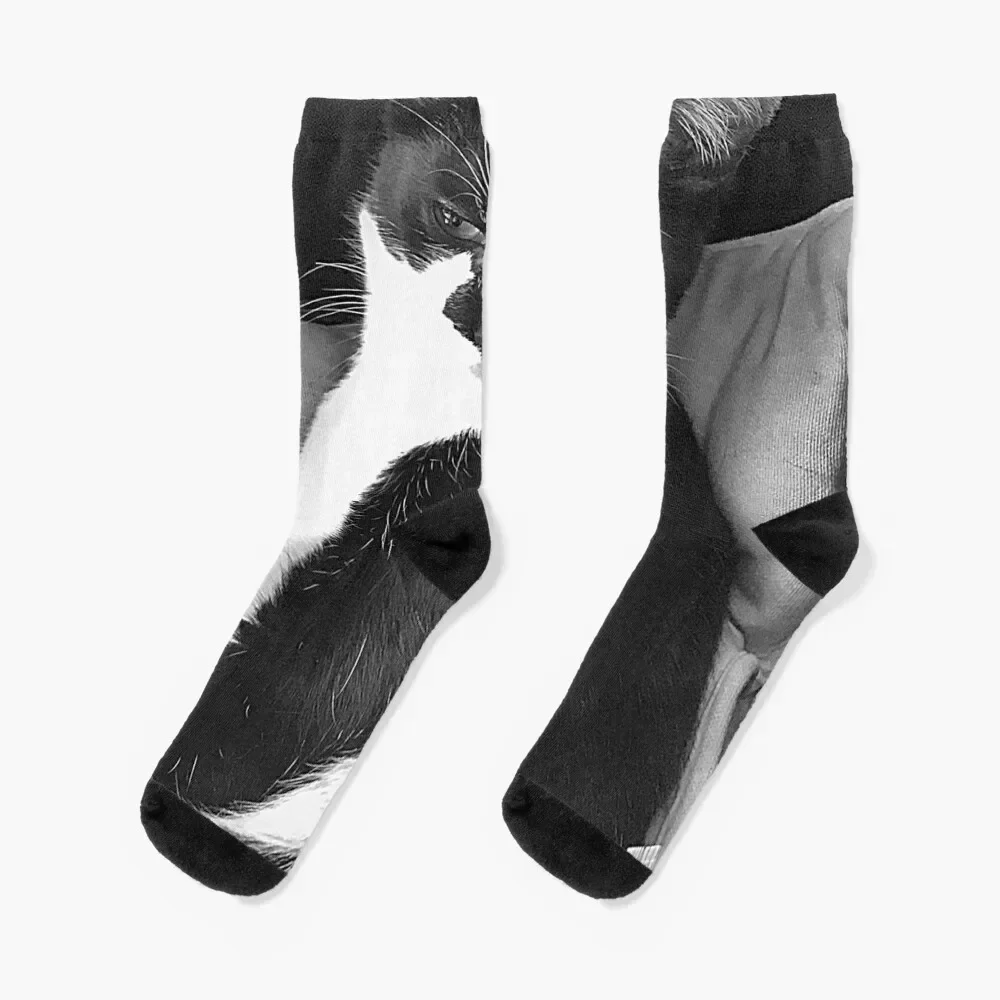 

Нельсон Ленивый милый кот-смокинг. Ohhh, что a life, носки, чулки для скалолазания, компрессионные забавные носки, компрессионные носки для женщин и мужчин