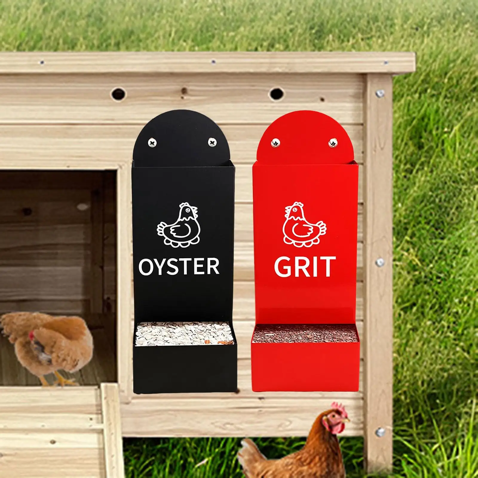 

Oyster Shell Chicken Feeder Convenient Easily Install Saves Time Durability Essential Accessories Poultry Feeder for Home Farm