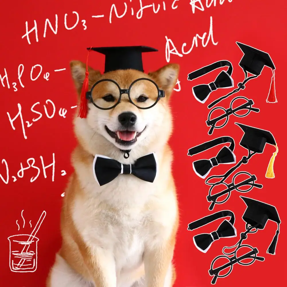 1 Set Pretty Cat Graduation Hat  Adorable Creative Dog Graduation Hat  Pet Cats Dogs Graduation Hat Collar Glasses Set