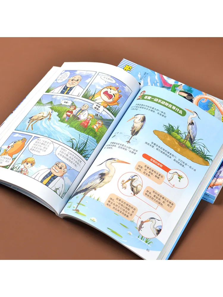 Book-Winshare Wonderful Children's Science Comic Books Dinosaur Kingdom Prehistoric Creatures Bird World 3 Volumes in Total