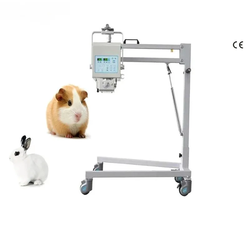 Digital Dog X-Ray M… - image