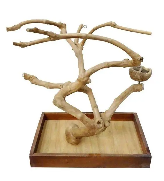 2023 High-quality Java Wood (Coffee Wood) Multi Branches Perch For Bird