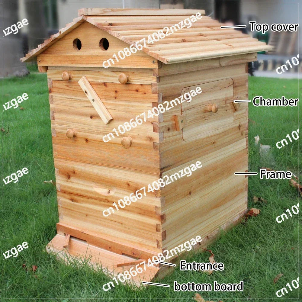 

Flow Hives, Wax Beehives Wholesale, Beehive Tools