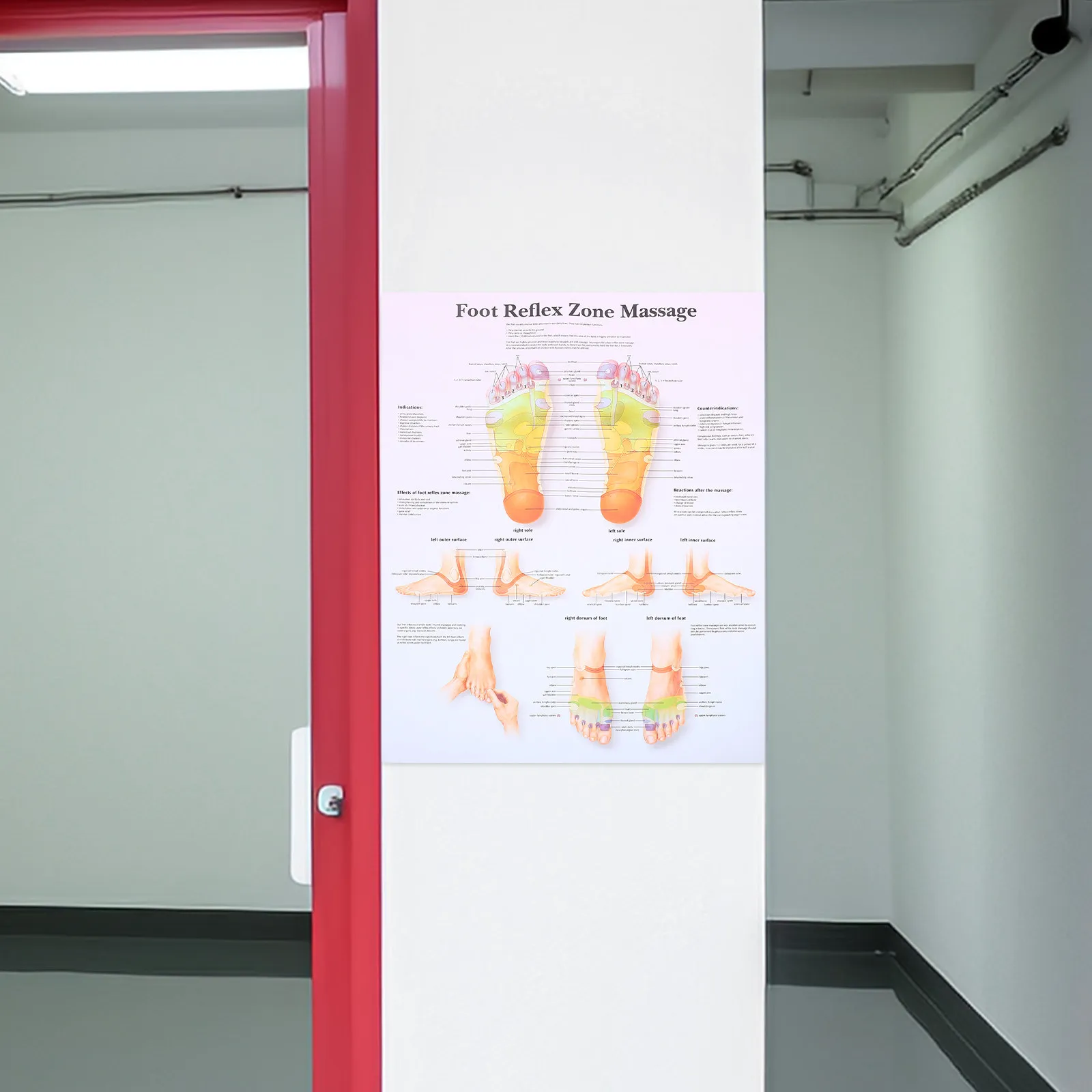 

Foot Reflexology Chart Poster High Definition Foot Structure Study Visual Wall Art Home Office Massage Education