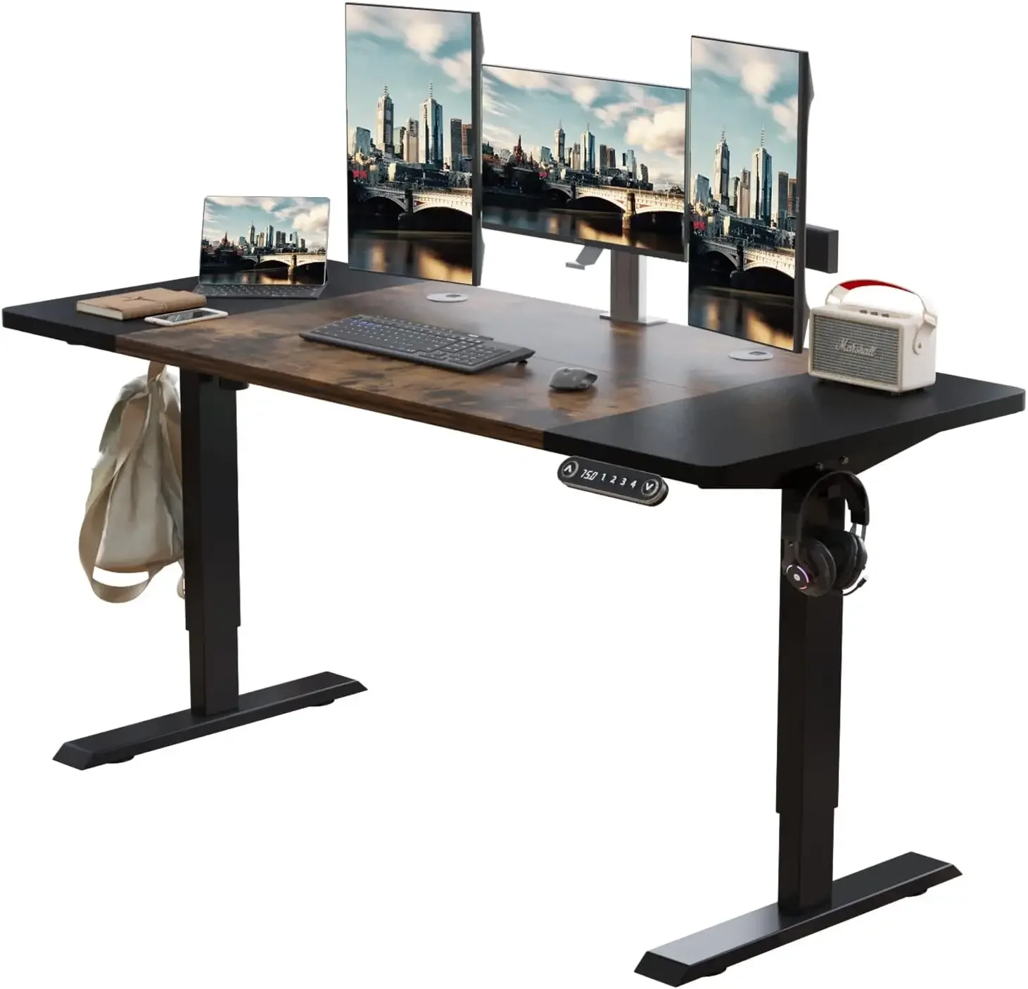 

Radlove Electric Height Adjustable Standing Desk, 63x 30 Inch Standing Desk Workstation, Ergonomic Desk