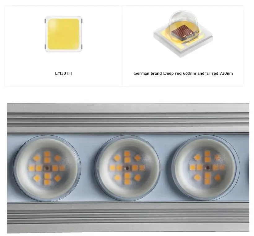 Koray 900W Indoor full spectru - огляд і ціна Grow Light Led
