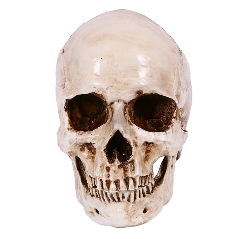 Skull Decor Prop Skeleton 1:1 Model Halloween Style Haunted House Home Decoration Festival Supplies