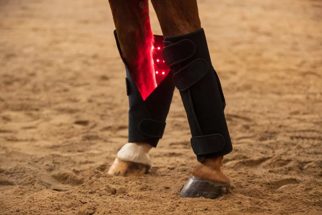 Cordless Horse Red Light Therapy Wraps 660nm Certificated Rechargeable Leg Pads