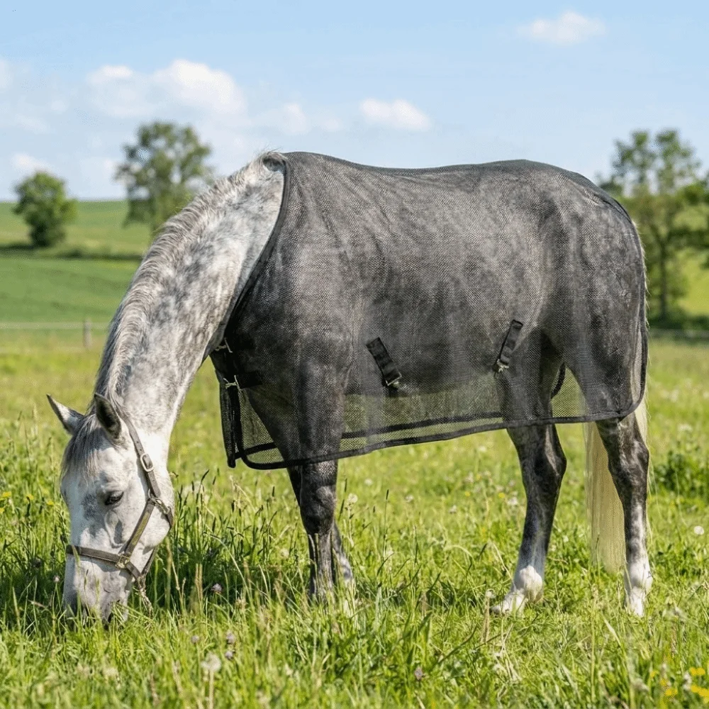 通気性のある馬用蚊よけベスト、調節可能な速乾性馬用フライシート、耐摩耗性バックルデザイン、馬用メッシュベスト