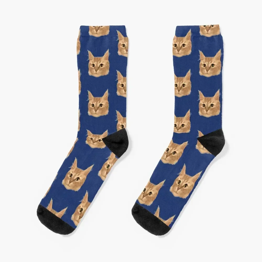 Orange Tabby Cat Portrait Socks Stockings compression snow cool hiphop Socks For Men Women's