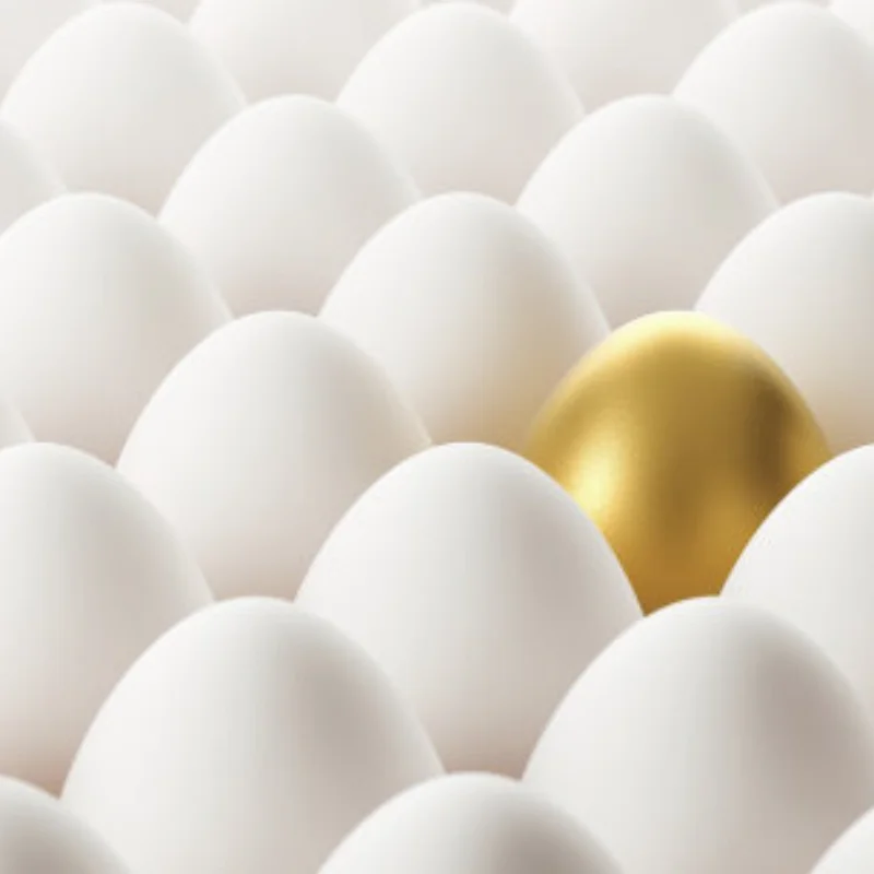 

Hard Plastic RC Drift Tires for Trxs HSP Tamiya HPI – Smooth Flat Design for Wltoys 144001 124018 A959-B MJX 14301 14303