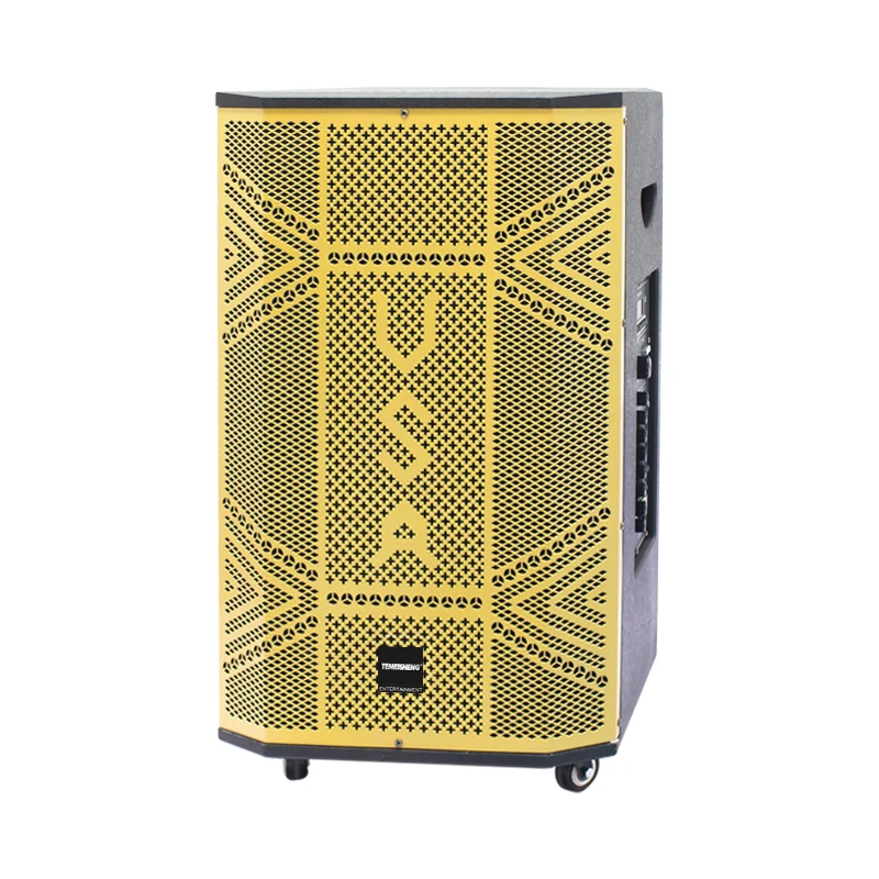 

T 15 Inch Big Portable Super Sound Bluetooth Trolley Speaker With Wheels Portable Party Speaker USA