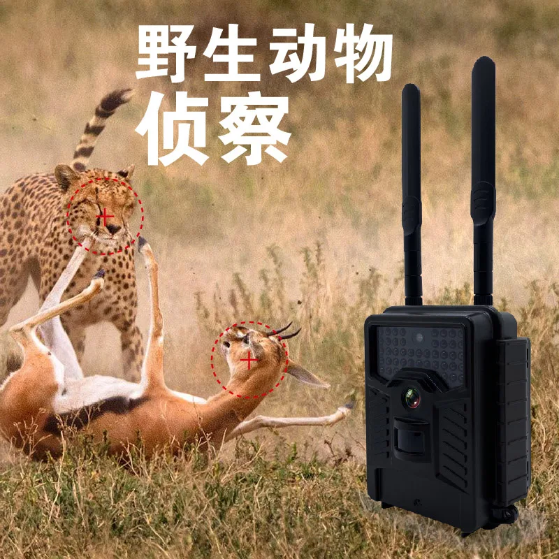 Ultra-high-definition infrared sensor camera monitoring, low temperature resistance, ultra-long standby animal detection