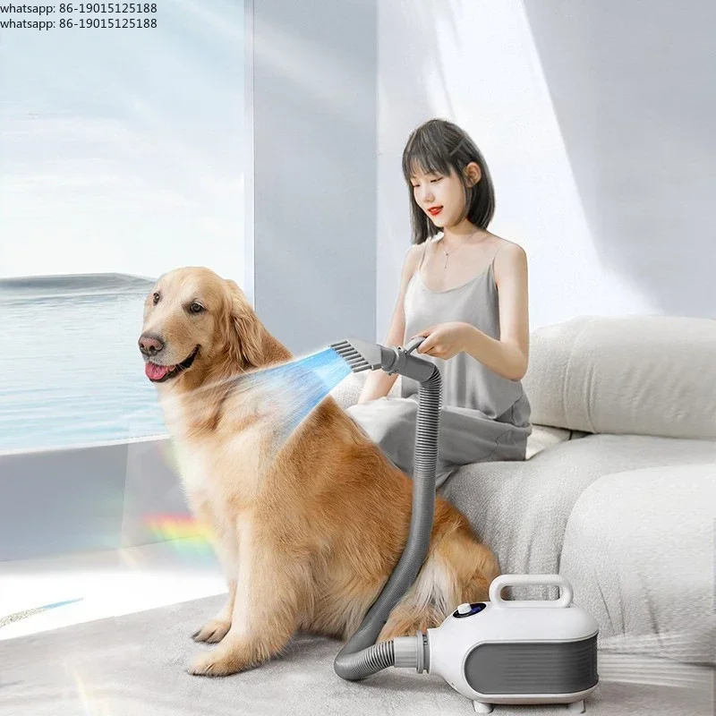 Medium To Large Dog Specific High Power Hair Dryer Golden Retriever Quick Drying Hair Dryer Household Pet Water Dryer