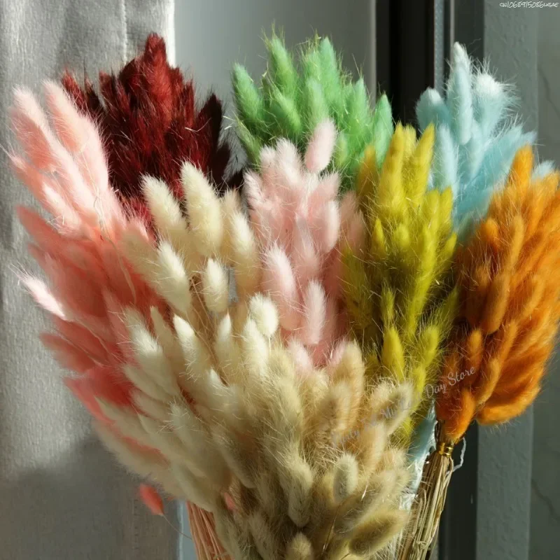 60pcs Nature Rabbit Tail Grass Dried Flower Bouquet Dog Tail Grass Dried Flower Immortal Flower Small Bouquet DIY Decoration