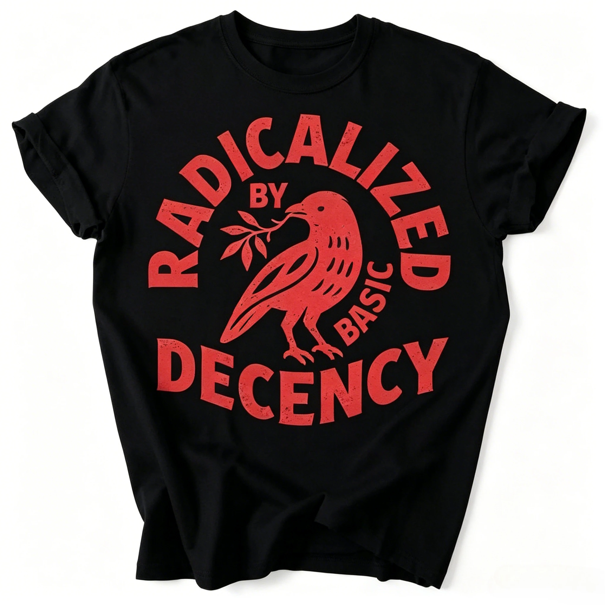 Herren Vintage T-Shirt Funny Radicalized By Basic Decency Meme T-Shirt Damen Streetwear Baumwolle Oversized T-Shirt Unisex Kurzarm – Detail 3