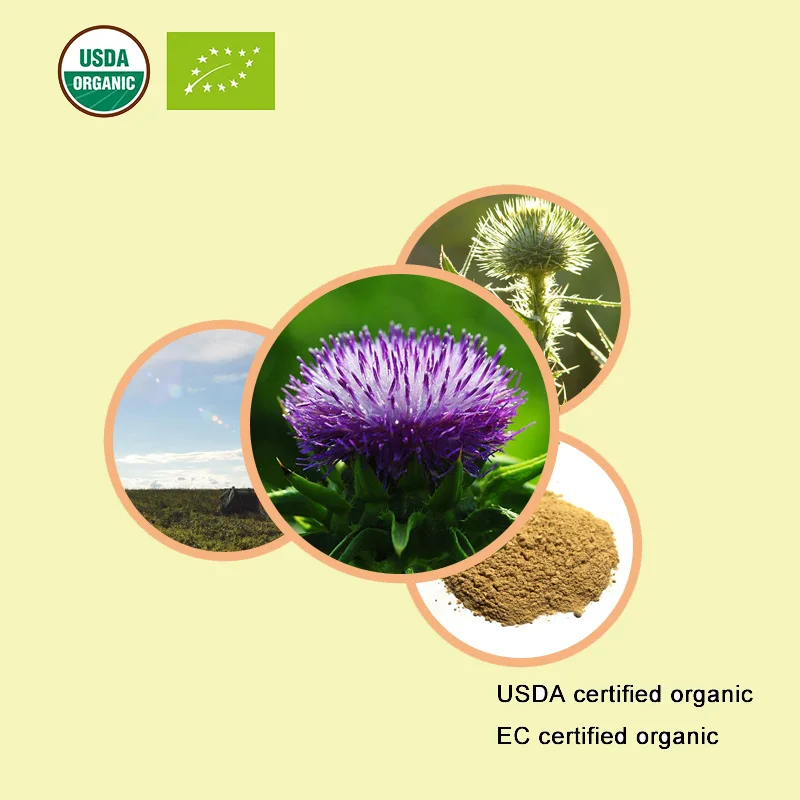 100-1000g Milk thistle Free Shipping