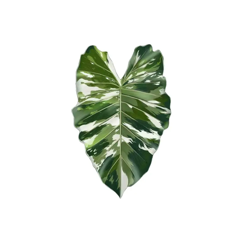 New Acrylic Green Leaf Coaster Irregular Shape Anti Slip Plant Leaf Cup Mat Easy to Clean Heat Insulation Cup Pad Desk Ornament view 4