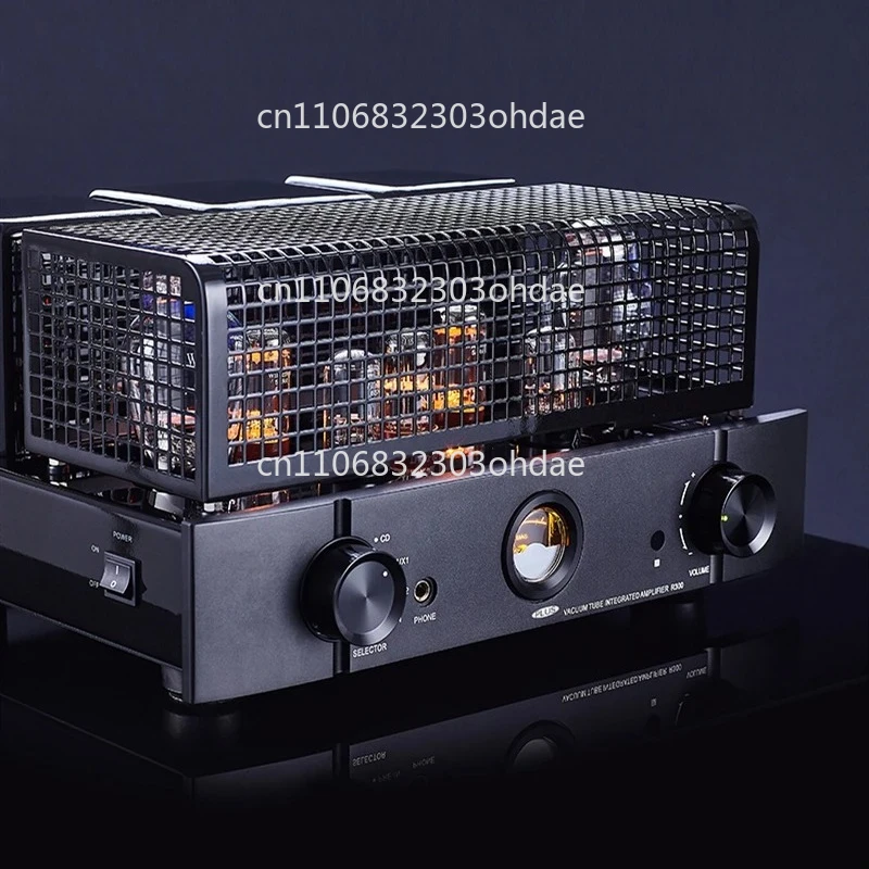 

R300 Plus лихорадка gall машина домашний HiFi стерео несимметричный 300B желчный усилитель