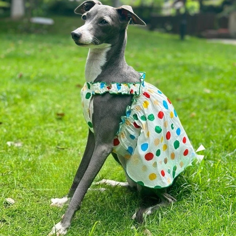 Summer Light Color Polka Dot Print Pattern Cute Playful Style Pet Dog Suspender Dress Suitable for Dogs with A Slender Build