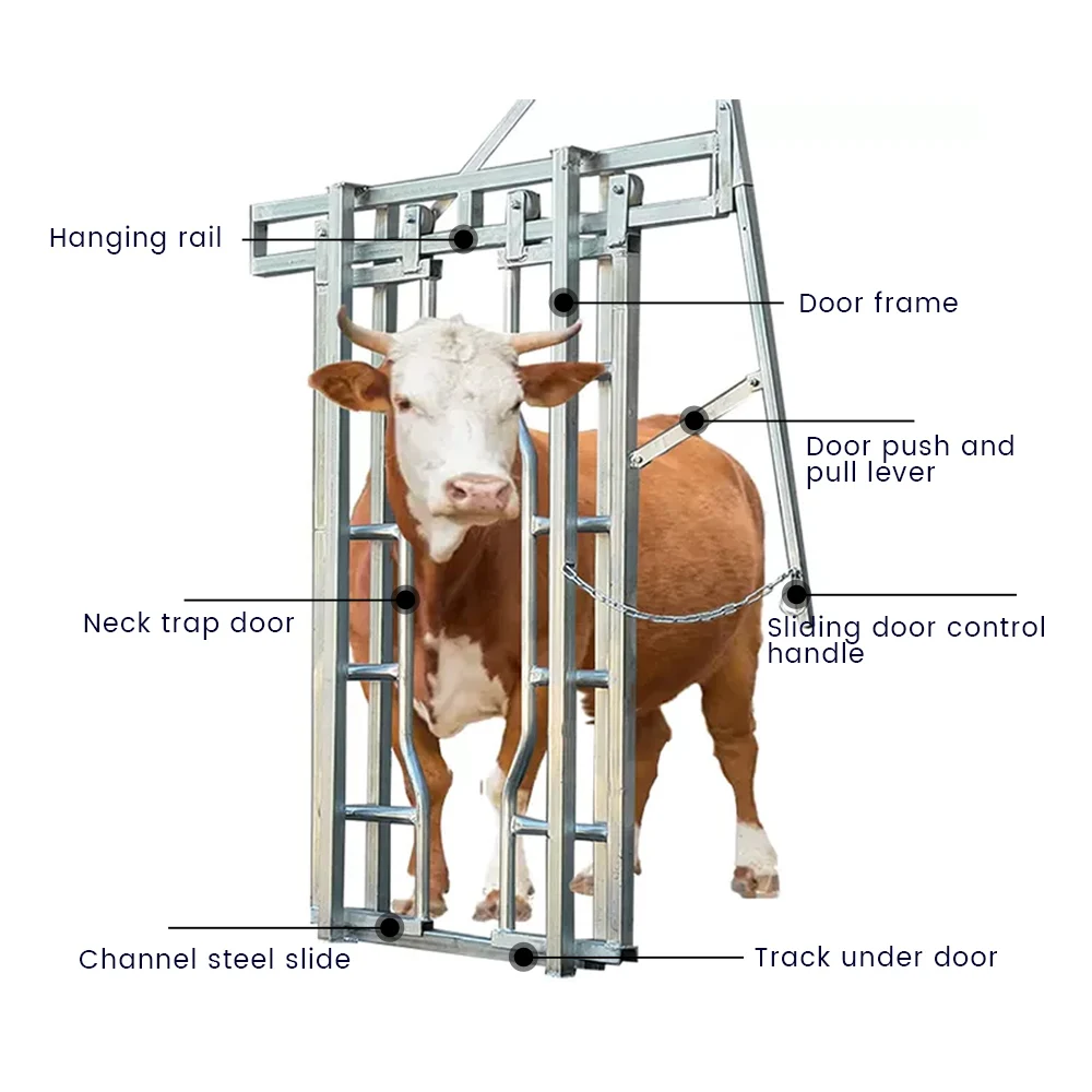 

Professional Cattle And Horse Restraining Frame For Surgery Diagnosis And Treatment For Animal Cages Artificial Insemination