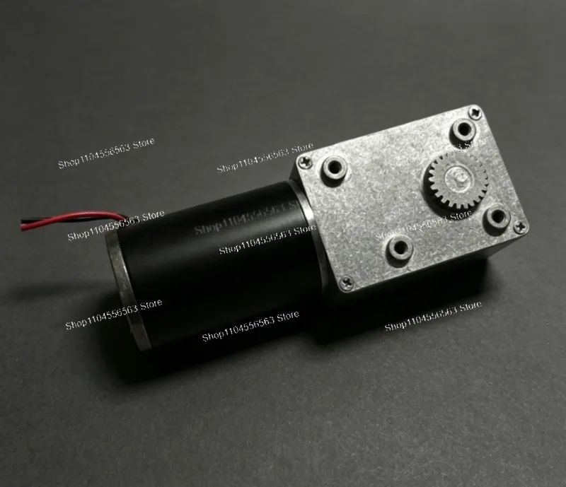 5882GW-50ZY DC Worm Gear Motor: Self-Locking, 12V/24V, 1.5-295 RPM