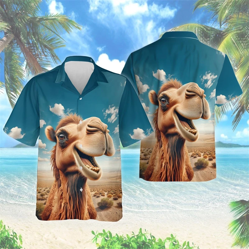 Shirts-PZMT40487
