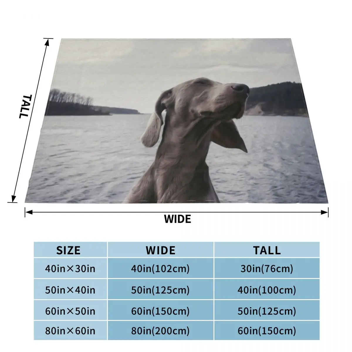 Weimaraner Breed Dog Animal Lake Water Throw Blanket Luxury St Bed linens For Baby Extra Large Throw Blankets