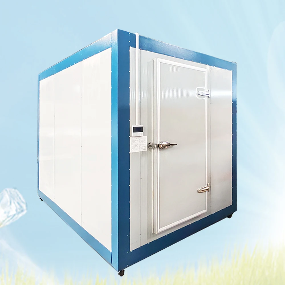 Grande e pratica stanza di conservazione frigorifera per varie applicazioni Sala congelatore Camminata efficiente nella stanza frigorifera