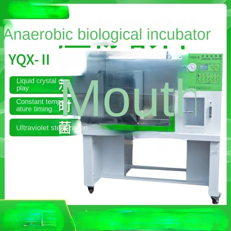 YQX-II Carbon Dioxide Anaerobic Bacteriological Incubator Glove Box Anaerobic Incubator