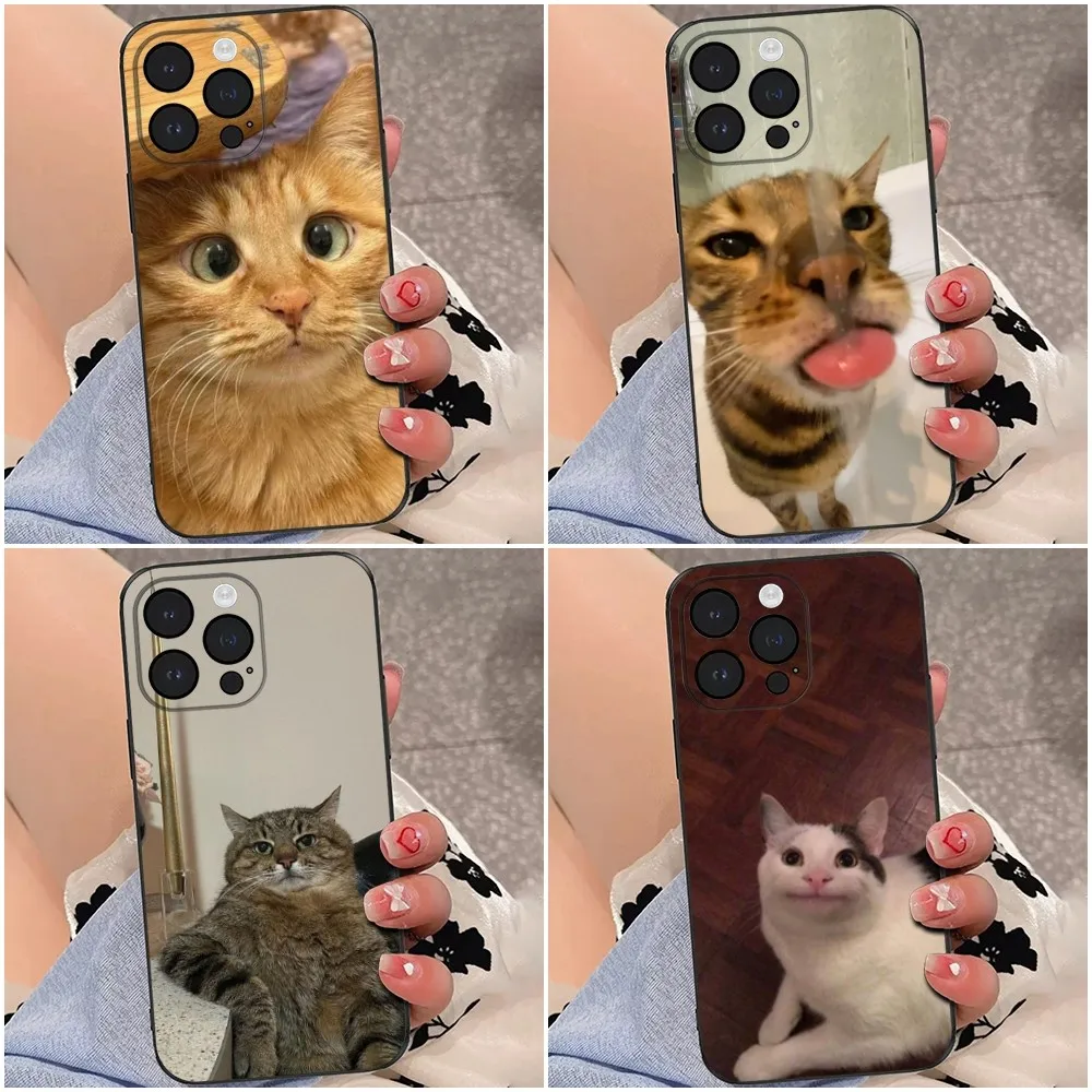 

Cat Memes Phone Case For iPhone 16e,16se4,16,15,14,13,12,Pro,Max,11,Plus,XR,XS Max Shockproof Silicone Soft Shell