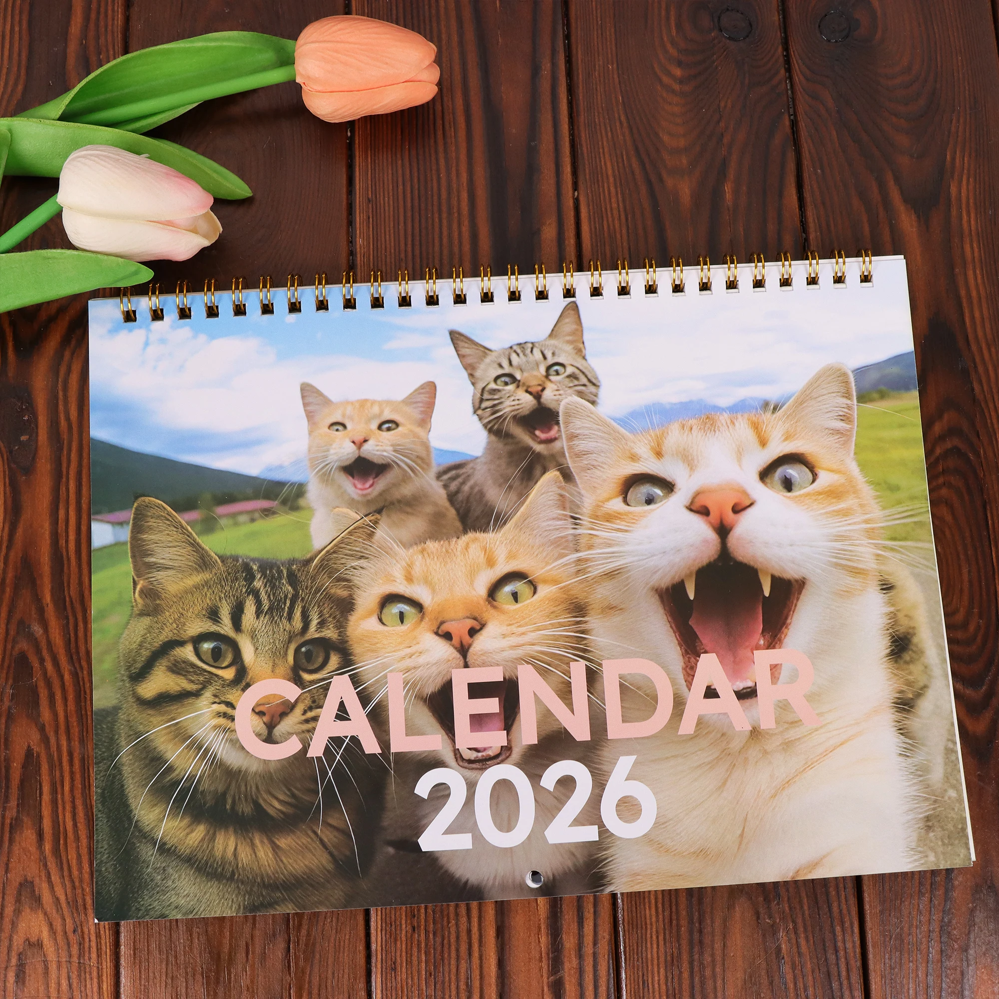 

Календарь «Кошка и друзья» на 2026 год, забавная серия «Кошачьи селфи», с 12 месяцев фотографий, идеальный подарок для любителей кошек