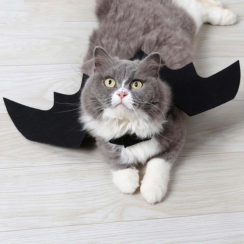 Costume SFP d\'Ailes de Chauve-Souris Noire pour Halloween, Vêtements Mignons pour Animaux de Compagnie, Chat et Chien, Cosplay, Fournitures de ix