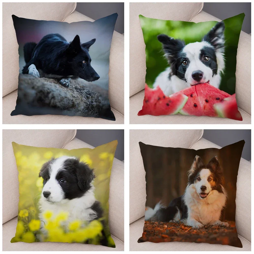 Cute Pet Animal Cushion Cover Scottish Border Collie Pillowcase Dog Printed  Sofa Stroller Customizable