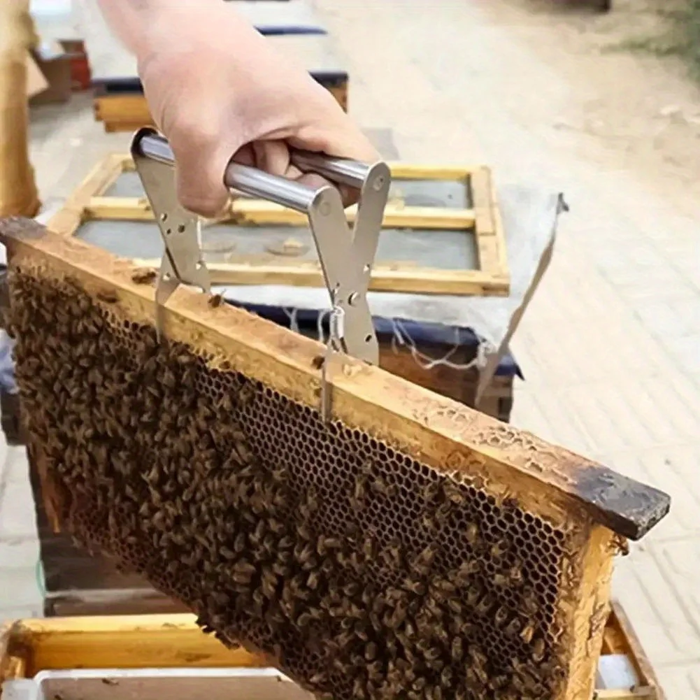 Bee Hive Rahmen Halter Edelstahl Capture Rahmen Grip Beehive Clip Clamp Erfassen Bienenzucht Zubehör Erhöhen Honig Biene Werkzeug