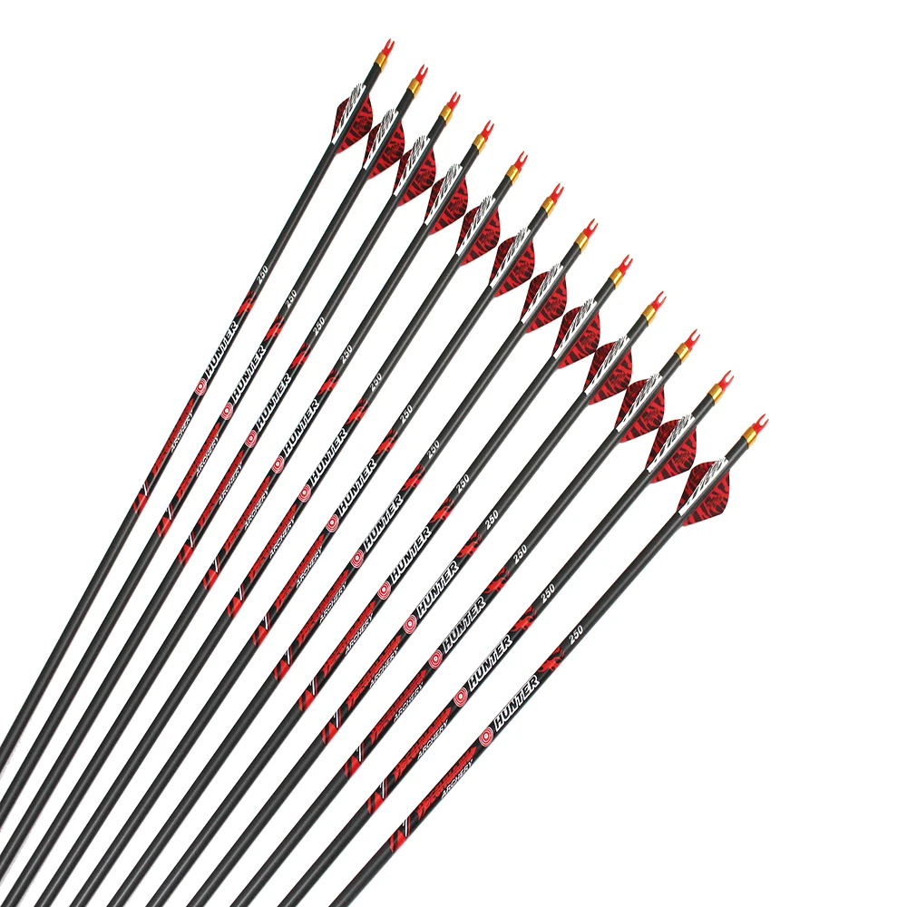 

Dechuang Archery 32" Carbon Arrows ID6.2mm Spine250 300 340 400 500 600 2Inch Arrow Vane 100gr Arrowhead Compound Bow Hunting