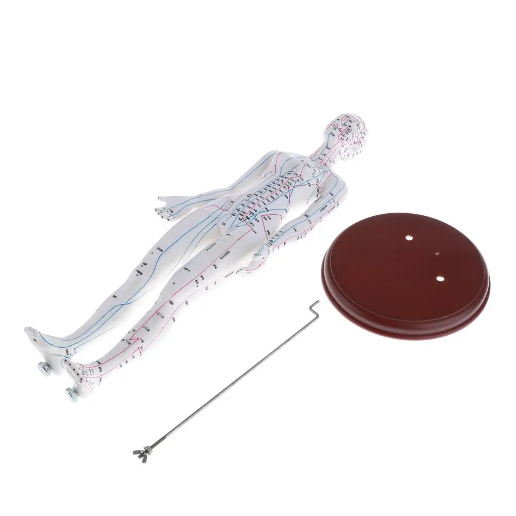 Detailed Female Human Acupuncture Model PVC Body Figure Accurate Acupoints Meridians Chart Book for Hospital Use