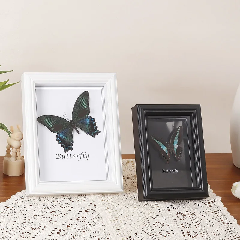 2cm Hollow Black Wooden Display Frame for Insect Specimen Glass Butterfly Mounting Picture Frame Home Décor