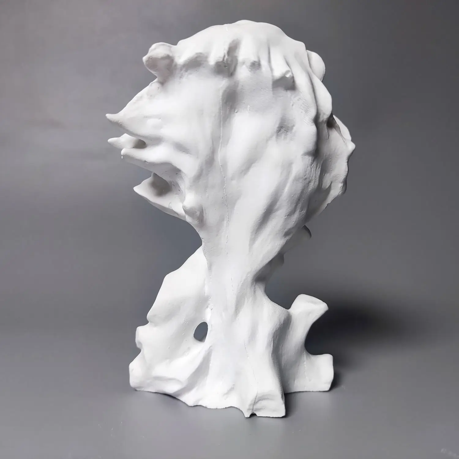 European Lion Bust Plaster Portrait Art Gypsum Retro Relief Desk Ornaments Art Aesthetic Sculpture Creative Animal Ornament