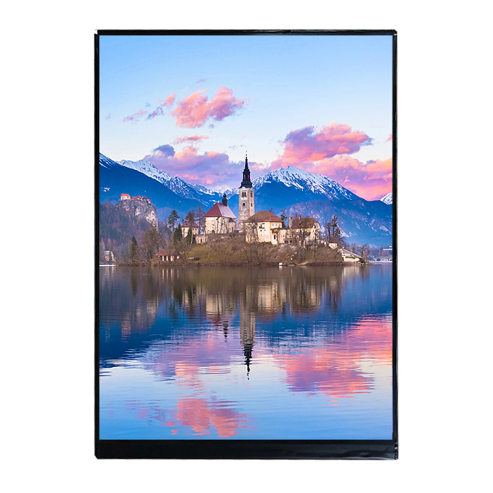 Monitor de pantalla TFT-LCD LQ079L1SX01 de 7,9 pulgadas 460 (tipo.) Placa controladora MIPI 1536(RGB)*2048 IPS 60Hz para tableta PC