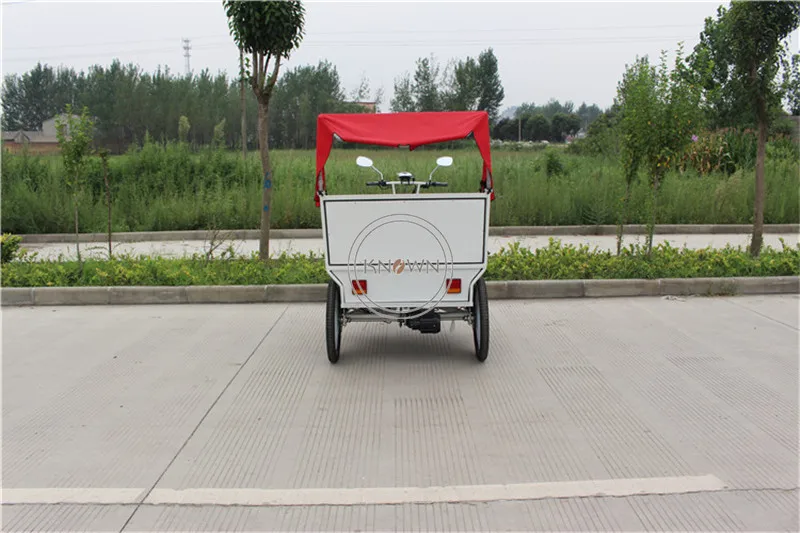 3 wheels pedicab rickshaw passenger cargo bike tricycle