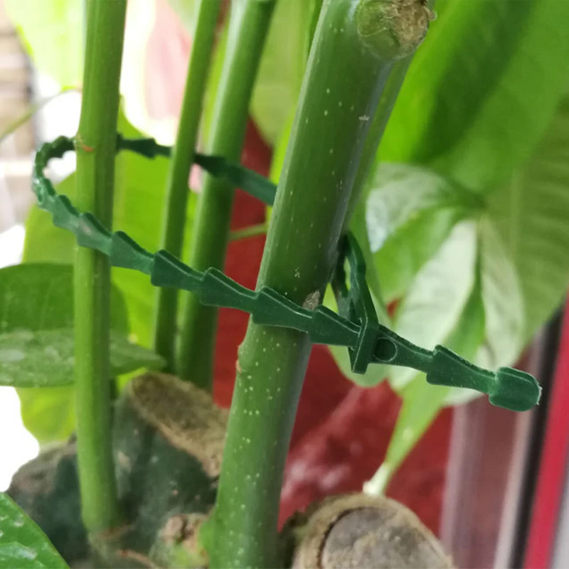 30/50 Pcs fascette per cavi da giardino riutilizzabili supporto per piante arbusti chiusura per alberi chiusura in Nylon regolabile in plastica PE fascette per cavi strumenti