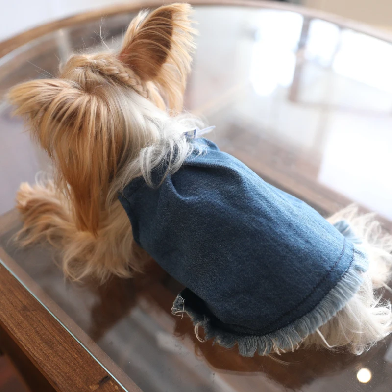 

Одежда для кошек и собак: платья, костюмы для чихуахуа, йорков, померанских шпицев, ши-тцу, мальтезе, пуделей, бишонов, шнауцеров. Одежда для домашних животных.