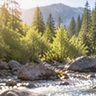 Compact Carbon Fiber Lure Rod with Fast Taper Response Suitable for Mountain Stream and Low Current River Environments