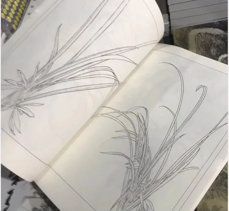 Chinese Painting Hundred Flowers Line Drawing Collection Art Books Adult Coloring Book Relaxation and Anti-Stress Book